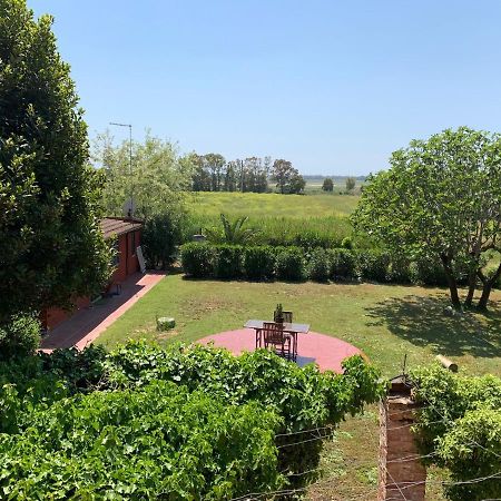 Villa Casale Degli Ulivi Maccarese Le Cerquete Exterior foto